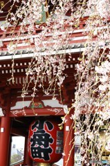 浅草スタイル8