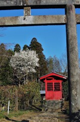 里山の春