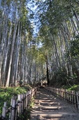 武士が通った道