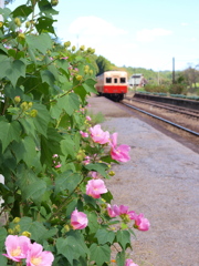 小湊鉄道小さな旅Ⅲ