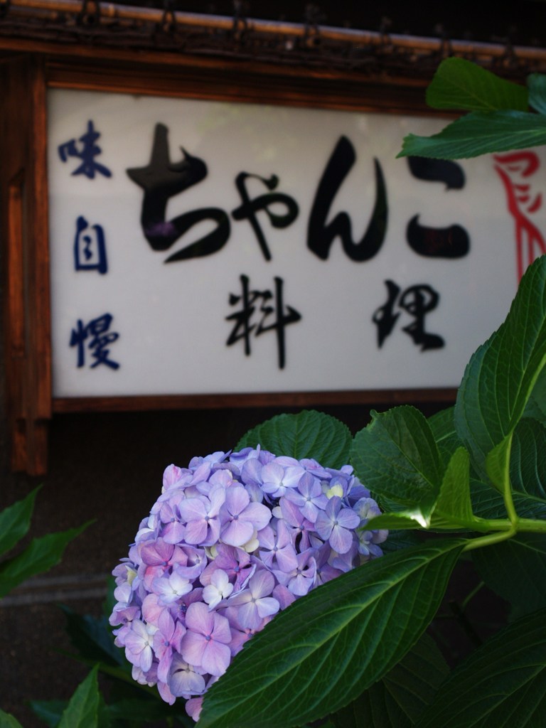 ちゃんこ屋の店先