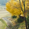 里山の小径
