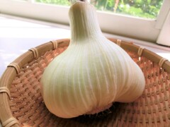 ジャンボニンニク！