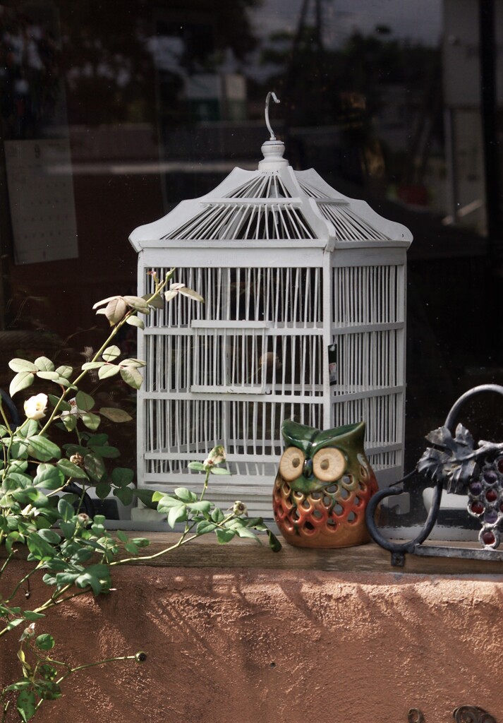 か~ごめかごめ♪