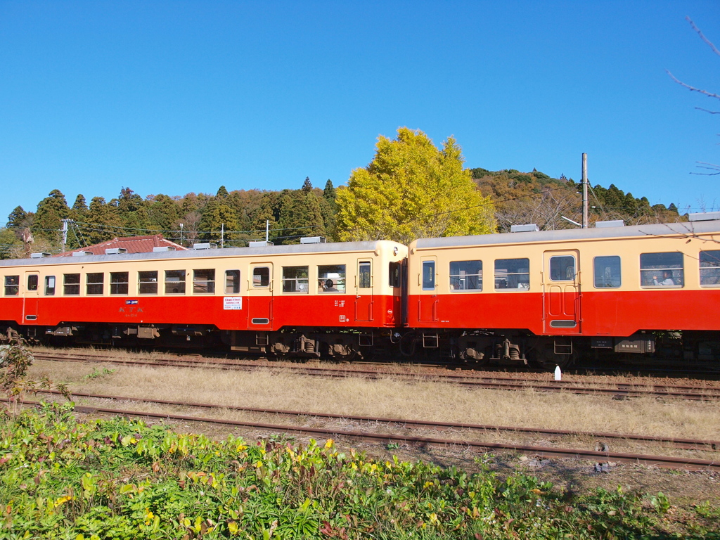 小湊鉄道・秋の色Ⅱ