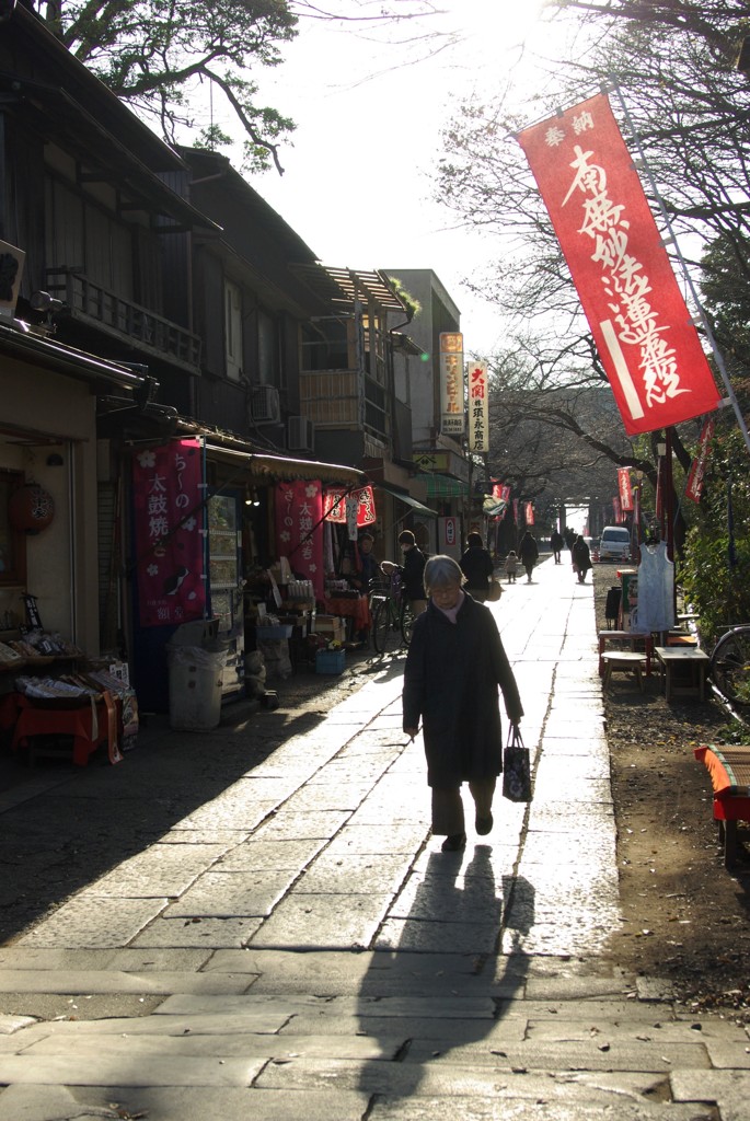冬の陽ざしと法華経寺参道