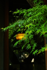 灯り