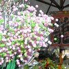 鎌倉点描