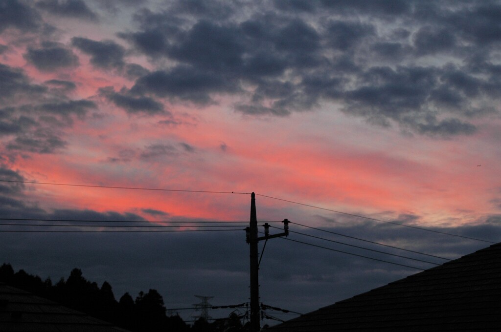 小寒の日の夕暮れ