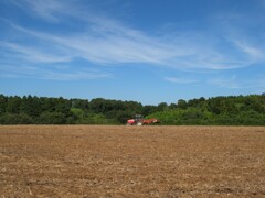 大地を耕す赤い奴