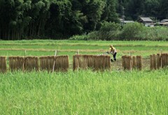 もうひと仕事頑張らなきゃ