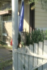 ジャンクレンズを楽しむ