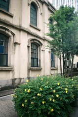 街角散歩　御茶ノ水・神保町(フィルム)