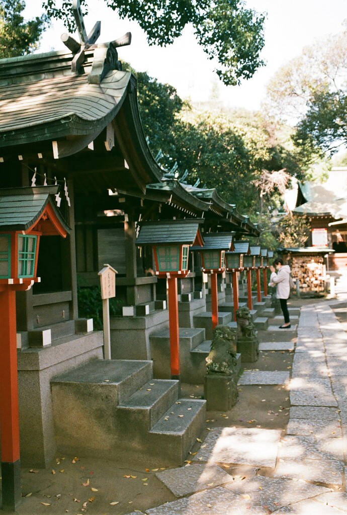 願いごと(フィルム写真)