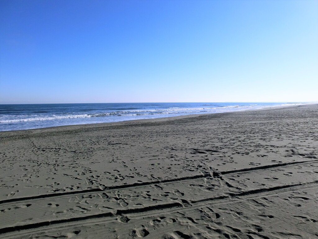 師走の海