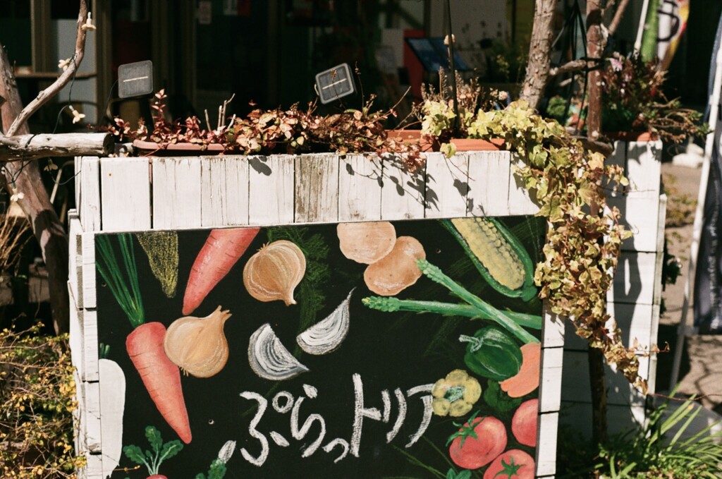 フジカ日和　 ナポリの漁師(フィルム)