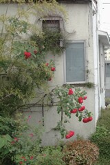駅までの道すがら