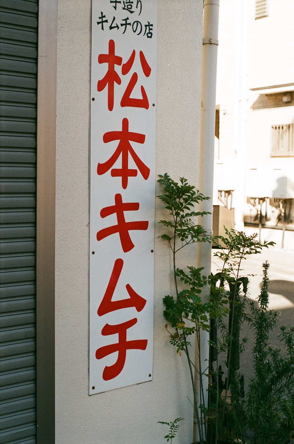フジカと散歩  人名に見えたキムチ(フィルム)