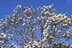 今年もありがとう