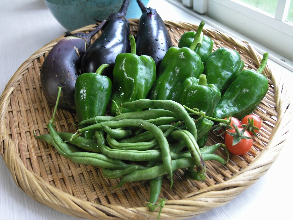 菜園の夏野菜たち