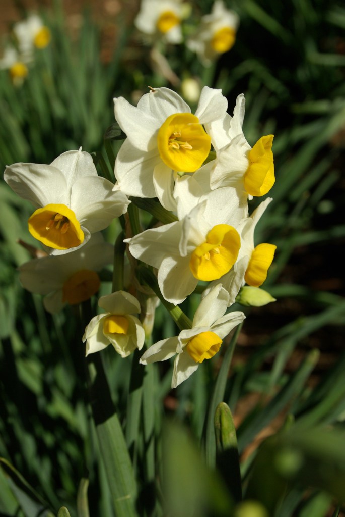 あったかいねぇ