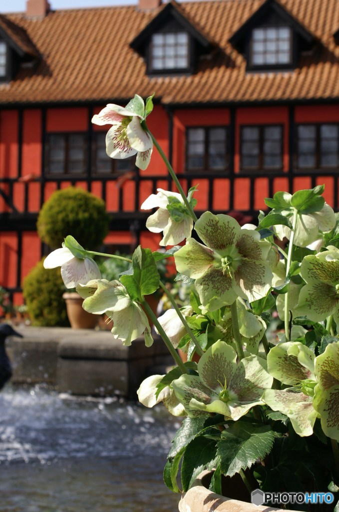 春風に誘われて1