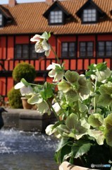 春風に誘われて1