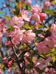 鎌倉の古寺に思いを馳せて