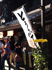 のんびりと柴又11