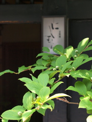 京・街角Ⅰ