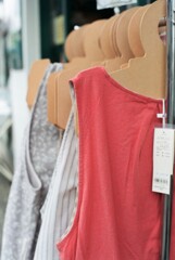 夏物(フィルム)