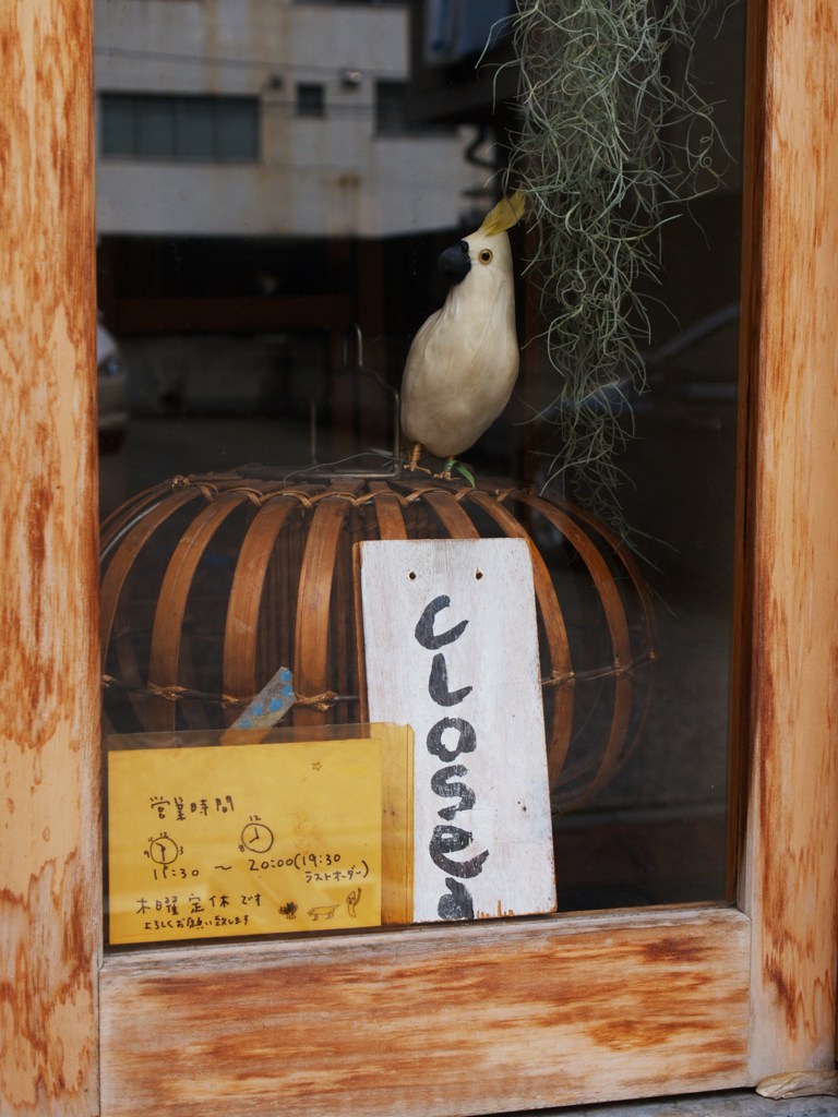 開店まだだよ～