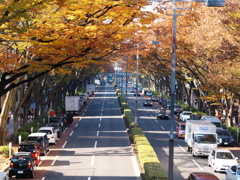 表参道点描写Ⅰ