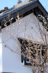 里山歩けば