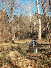 カンテラのある庭