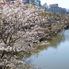 外濠(牛込濠)春景色
