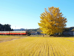 小湊鉄道・秋の色Ⅳ