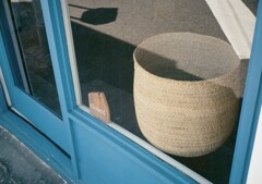 デミと街中散歩(フイルム)