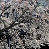 今年もありがとう