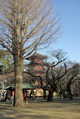 法華経寺の冬