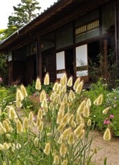 花咲く古民家の庭