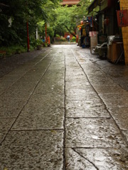 雨の参道