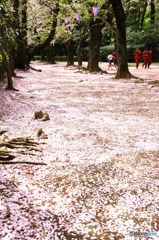 桜道