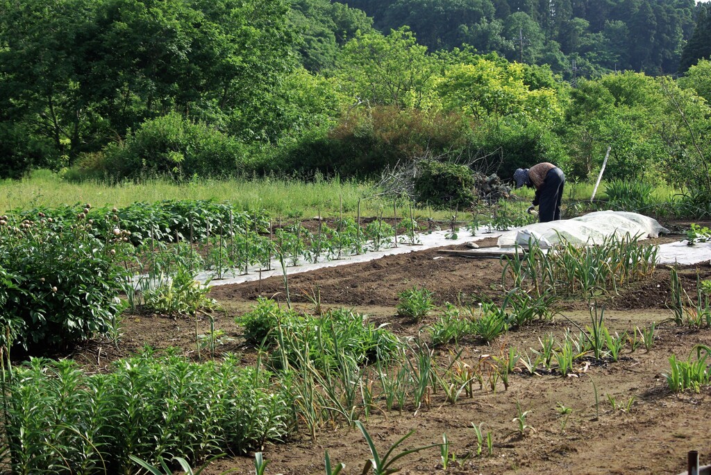 里山に暮らす