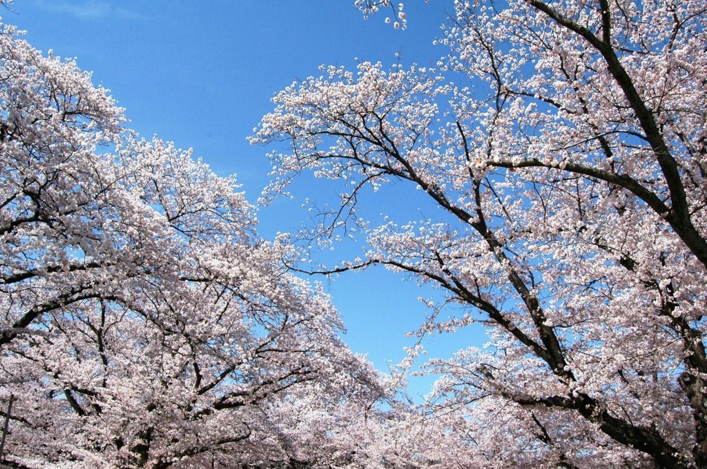 今年もありがとう
