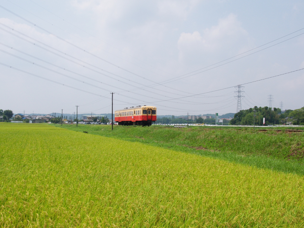 小湊夏日記　高圧線