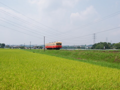 小湊夏日記　高圧線