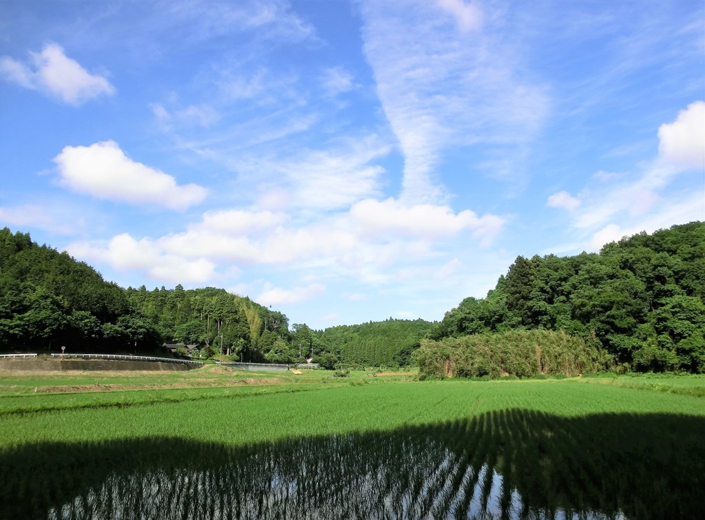 里山の田んぼと空