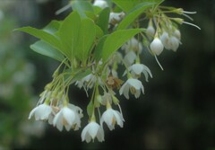 里山の彩り