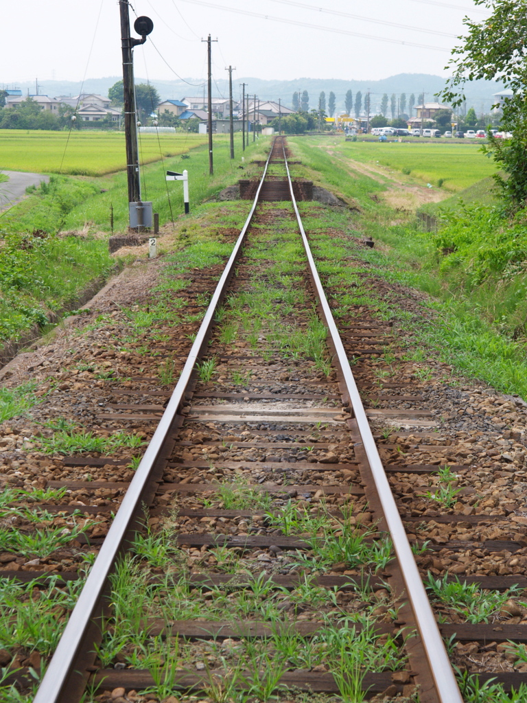 小湊夏日記　線路